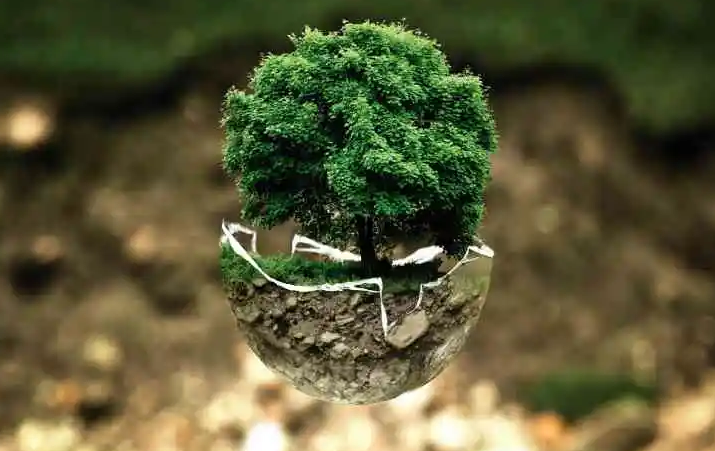 Три вредные привычки, которые приводят к маленьким экологическим катастрофам